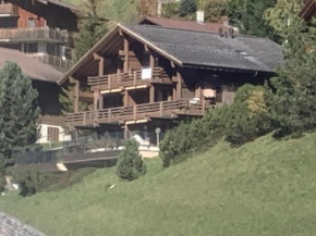 Chalet Orchis